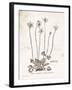 Flower Plate I-Gwendolyn Babbitt-Framed Art Print