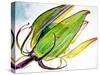 Flower Pod-Jennifer Redstreake Geary-Stretched Canvas