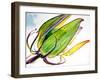 Flower Pod-Jennifer Redstreake Geary-Framed Art Print