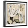 Flower Pods I-Jennifer Goldberger-Framed Art Print