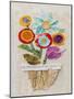 Flower Pot II-Elizabeth St. Hilaire-Mounted Art Print
