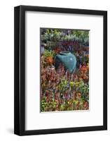 Flower pot in field of flowers at Longwood Gardens Conservatory, Pennsylvania-Darrell Gulin-Framed Photographic Print