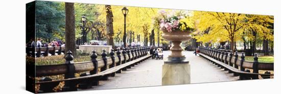 Flower Pot on a Walkway, Central Park, Manhattan, New York City, New York, USA-null-Stretched Canvas