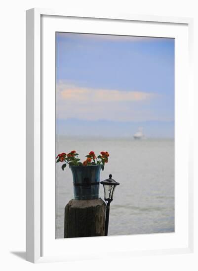 Flower Pot on Sausalito Pier, California-Anna Miller-Framed Photographic Print