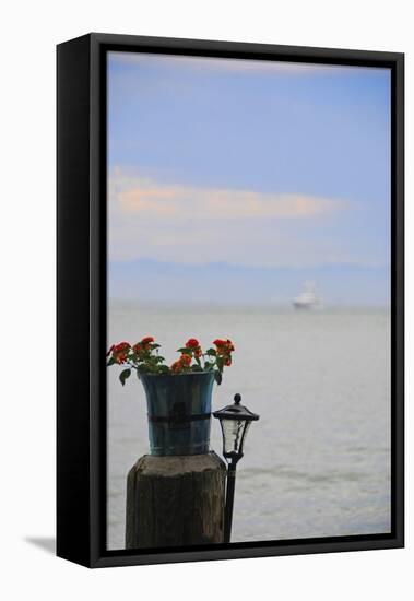 Flower Pot on Sausalito Pier, California-Anna Miller-Framed Stretched Canvas