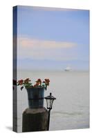 Flower Pot on Sausalito Pier, California-Anna Miller-Stretched Canvas