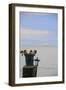 Flower Pot on Sausalito Pier, California-Anna Miller-Framed Photographic Print