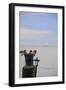 Flower Pot on Sausalito Pier, California-Anna Miller-Framed Photographic Print