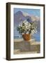 Flower Pot on Seaside Patio-null-Framed Art Print