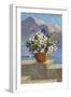 Flower Pot on Seaside Patio-null-Framed Art Print