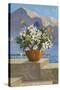 Flower Pot on Seaside Patio-null-Stretched Canvas
