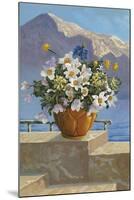 Flower Pot on Seaside Patio-null-Mounted Art Print