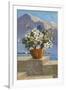 Flower Pot on Seaside Patio-null-Framed Art Print