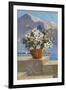 Flower Pot on Seaside Patio-null-Framed Art Print