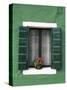 Flower Pot on Window Sill, Burano, Venice, Veneto, Italy-Sergio Pitamitz-Stretched Canvas