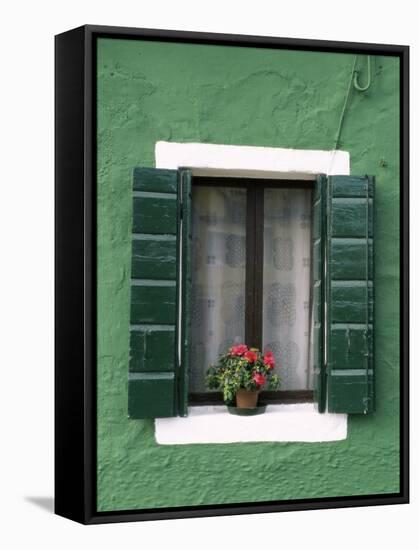 Flower Pot on Window Sill, Burano, Venice, Veneto, Italy-Sergio Pitamitz-Framed Stretched Canvas