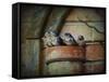 Flower Pot Swallows-Jai Johnson-Framed Stretched Canvas