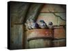 Flower Pot Swallows-Jai Johnson-Stretched Canvas