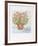 Flower Pot-Beverly Hyman-Framed Limited Edition