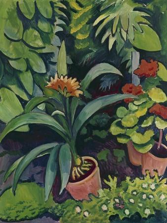 https://imgc.allpostersimages.com/img/posters/flower-pots-in-a-garden-bush-lilies-and-pelargonidin-1911_u-L-Q1I85WV0.jpg?artPerspective=n