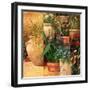 Flower Pots Left-Art Fronckowiak-Framed Premium Giclee Print