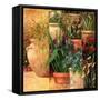 Flower Pots Left-Art Fronckowiak-Framed Stretched Canvas