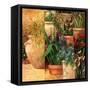 Flower Pots Left-Art Fronckowiak-Framed Stretched Canvas