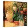 Flower Pots Left-Art Fronckowiak-Stretched Canvas