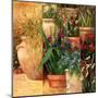 Flower Pots Left-Art Fronckowiak-Mounted Art Print