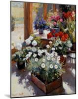 Flower Pots-Edward Noott-Mounted Art Print