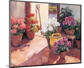 Flower Pots-Edward Noott-Mounted Art Print