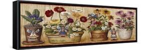 Flower Pots-Lisa Audit-Framed Stretched Canvas