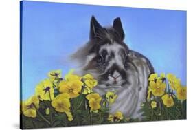 Flower Power Bunny-Karie-Ann Cooper-Stretched Canvas