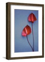 Flower Power II-null-Framed Art Print