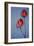 Flower Power II-null-Framed Art Print