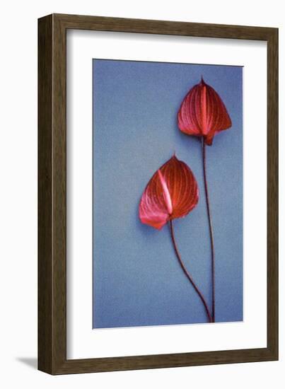 Flower Power II-null-Framed Art Print