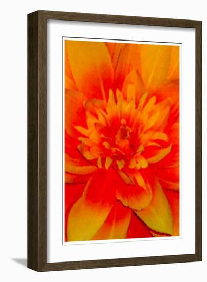 flower power-Kenny Primmer-Framed Art Print