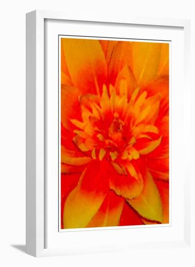 flower power-Kenny Primmer-Framed Art Print