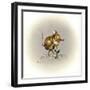 Flower Power-Peggy Harris-Framed Giclee Print