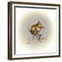 Flower Power-Peggy Harris-Framed Giclee Print