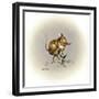 Flower Power-Peggy Harris-Framed Giclee Print