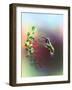 Flower Power-Spencer Williams-Framed Giclee Print