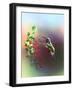 Flower Power-Spencer Williams-Framed Giclee Print