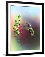 Flower Power-Spencer Williams-Framed Giclee Print