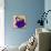 Flower Purse Green on Purple-Roderick E. Stevens-Giclee Print displayed on a wall