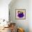 Flower Purse Green on Purple-Roderick E. Stevens-Framed Giclee Print displayed on a wall