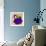 Flower Purse Green on Purple-Roderick E. Stevens-Framed Giclee Print displayed on a wall