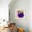 Flower Purse Green on Purple-Roderick E. Stevens-Framed Giclee Print displayed on a wall