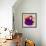 Flower Purse Red on Purple-Roderick E. Stevens-Framed Giclee Print displayed on a wall