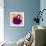 Flower Purse Red on Purple-Roderick E. Stevens-Framed Giclee Print displayed on a wall